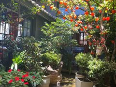 -海韵人家.海景花园经典云南菜(双廊店)