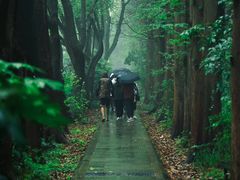 -同里国家湿地公园