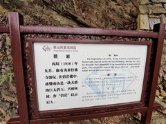 -镇江市南山风景名胜区竹林景区