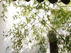 -木渎古镇