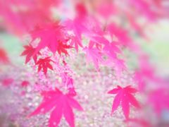 -洛阳龙门站