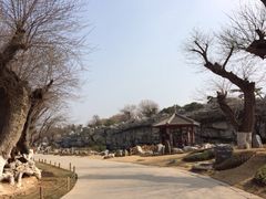 iphone_upload_pic-中国唐苑