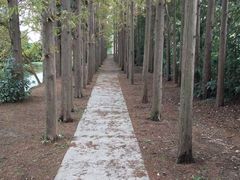 -上海长兴岛郊野公园