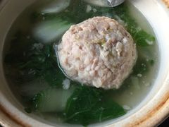 -丁老爷子苏香圆