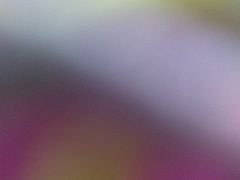 -和佳兴中式快餐