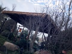 -苏州湾王焰温泉度假酒店