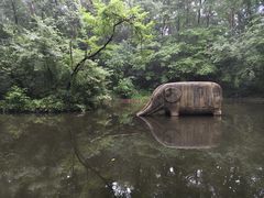 -紫霞湖公园
