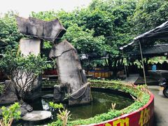 -荔枝园美食山庄(贞山风景区店)
