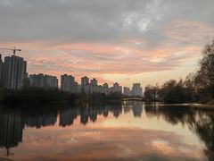 -洋湖国家湿地公园