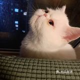 一不小心就长大了