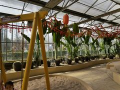 -南宫五洲植物乐园