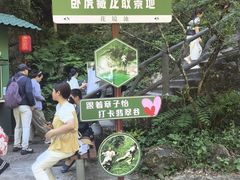 -黄山翡翠谷景区