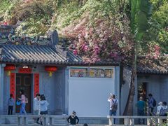 -深圳国际园林花卉博览园