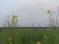 -光明小镇欢乐田园