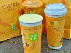 -奈雪的茶(正弘城PRO+店)