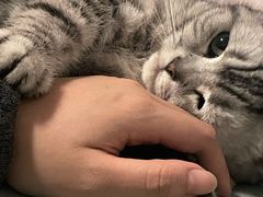 -中农大我爱我爱动物医院·核磁CT·猫病·24小时夜诊中心(石佛营店)