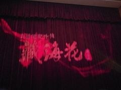 -舞台剧盗墓笔记-藏海花