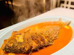 红烧黄河鲤鱼-阿五黄河大鲤鱼(纬三路店)
