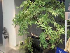 -大榕树下顺德菜(融创茂店)