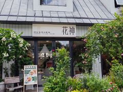 -花神·轻食简餐·咖啡馆·花卉绿植(荷兰花卉小镇店)