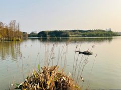 -海珠湖公园