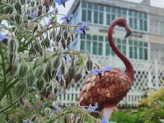 -瑞安圣井山景区