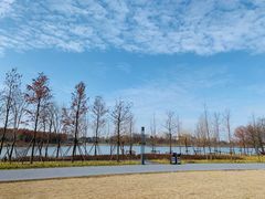 -南汇新城城市公园