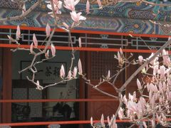 -潭柘寺景区