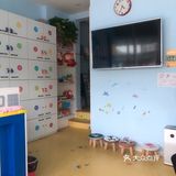 小鸭先知游泳