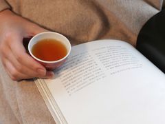 单丛红茶-见山茶事(丽水路店)