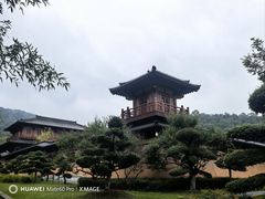 -习家池