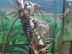 -西安秦岭野生动物园