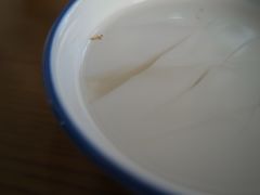 -奶酪魏(牛街总店)