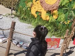 -保定市动物园