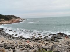 -广东惠东海龟国家级自然保护区