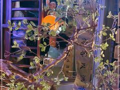-绿茶餐厅(南昌王府井店)