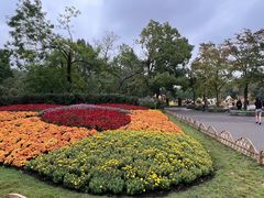 -共青国家森林公园-售票处