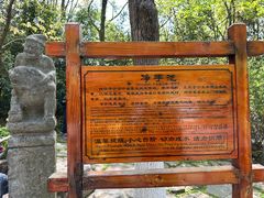 -天目湖山水园