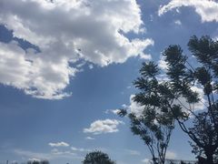 -华盛园卷子王农家菜水库鱼
