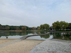 -上海佘山世茂艾美酒店