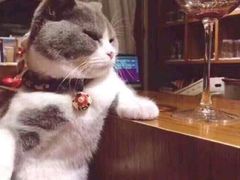 -宁波逸东豪生大酒店·豪生咖啡厅