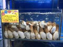-蚝专家(北滘店)