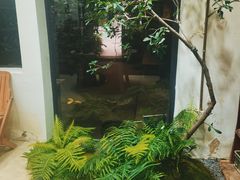 -植觉