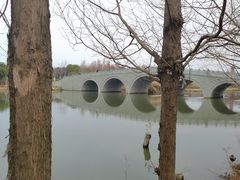-三垟湿地