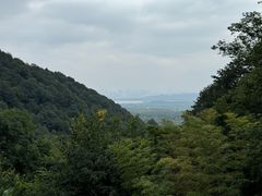 -韬光茶庵