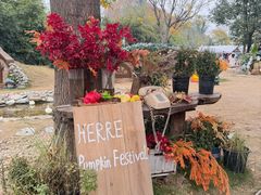 -HERRE·FARM 赫尔露营农场·团建聚会包场