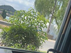 -李东农庄(中南百草园地标店)