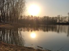 -东郊湿地公园