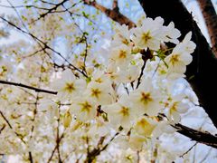 -苏州河梦清园环保主题公园