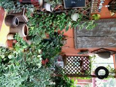 -叉叉纳里客栈(珠海情侣路唐家湾沙滩店)